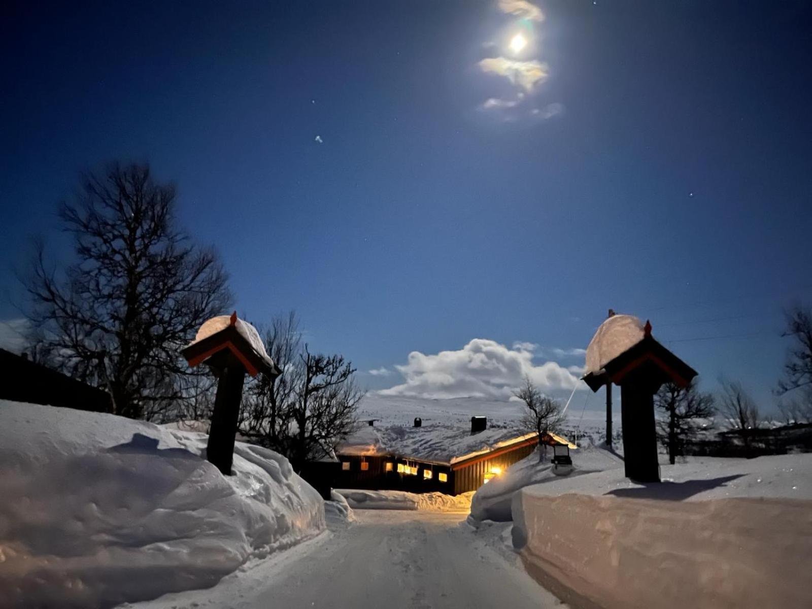 Hotel Torsetlia